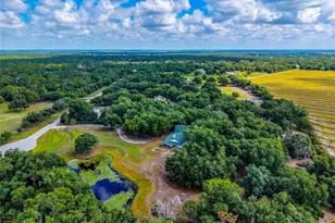 14705 Mossy Hammock Ln, Myakka City, FL 34251 - Photo 69