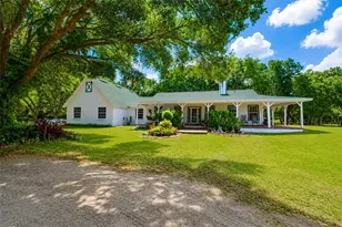 14705 Mossy Hammock Ln, Myakka City, FL 34251 - Photo 3