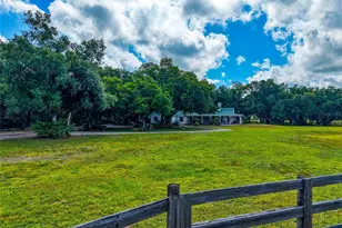 14705 Mossy Hammock Ln, Myakka City, FL 34251 - Photo 53