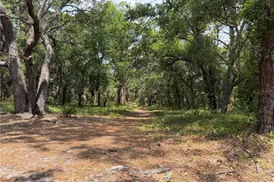 Lot 8 & 9 Nutmeg Ave, Sarasota, FL 34231 - Photo 23