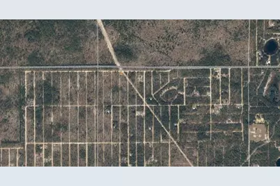 04-10-24-9035-0050-0020 Lemon Street, Interlachen, FL 32148 - Photo 3