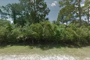 2205 Blue Fish Pl, Geneva, FL 32732 - Photo 1