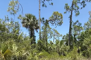 Lot 15 Coastal St, North Port, FL 34288 - Photo 1
