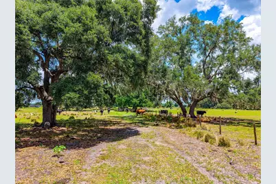 3030 N Nursery Road, Zolfo Springs, FL 33890 - Photo 31
