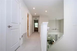 2120 Laceflower Dr, Brandon, FL 33510 - Photo 47