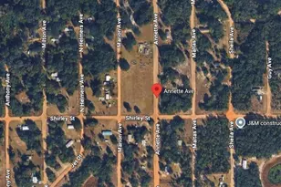 Annette Ave, Interlachen, FL 32148 - Photo 1