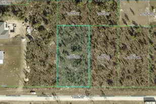 Scissorbill Ave Lot, Weeki Wachee, FL 34614 - Photo 1