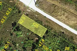 1514 Palsgrave Dr, Punta Gorda, FL 33983 - Photo 1