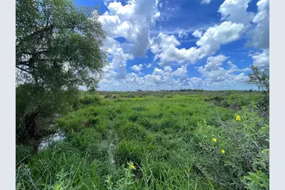 Wauchula Road, Myakka City, FL 34251 - Photo 3