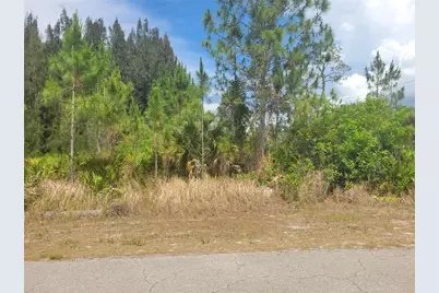 2601 E 10th Street, Lehigh Acres, FL 33936 - Photo 3