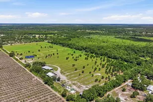 6204 Juel Gill Rd, Myakka City, FL 34251 - Photo 55