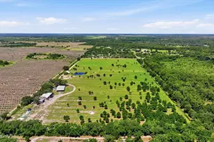6204 Juel Gill Rd, Myakka City, FL 34251 - Photo 59