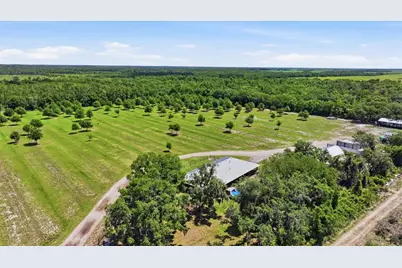 6204 Juel Gill Road, Myakka City, FL 34251 - Photo 47