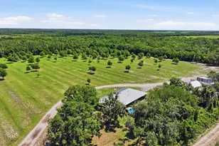 6204 Juel Gill Rd, Myakka City, FL 34251 - Photo 47
