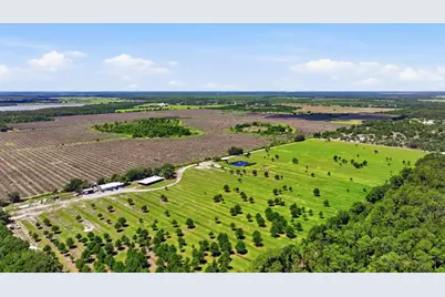6204 Juel Gill Road, Myakka City, FL 34251 - Photo 57