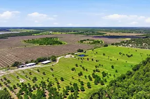 6204 Juel Gill Rd, Myakka City, FL 34251 - Photo 57