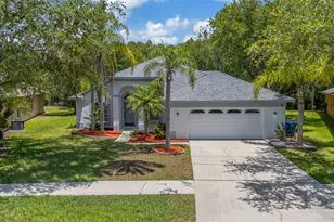 368 Tavernier Cir, Oldsmar, FL 34677 - Photo 1