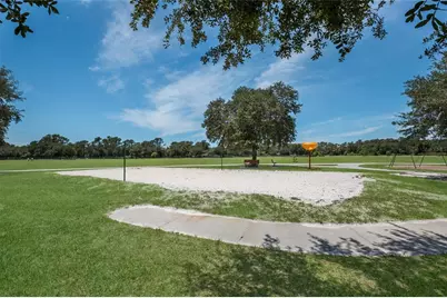 13523 Brown Thrasher Pike, Lakewood Ranch, FL 34202 - Photo 85