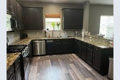 6528 Carrington Sky Drive, Apollo Beach, FL 33572 - Photo 3