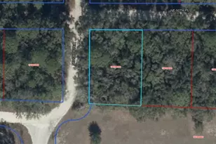 NE 50th Pl, Williston, FL 32696 - Photo 1