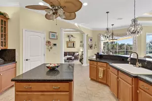 1210 408th Ct E, Myakka City, FL 34251 - Photo 13