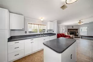 10407 Goshawk Dr, Riverview, FL 33578 - Photo 13