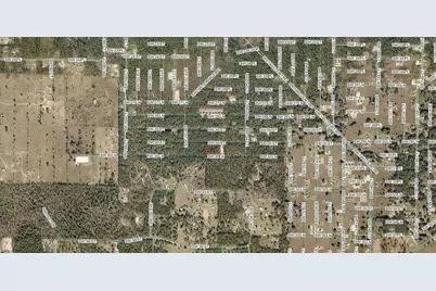 2003-147-026 SW 30th Lane, Ocala, FL 34481 - Photo 3