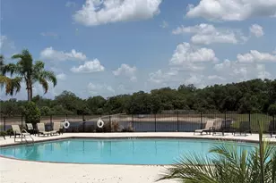 10130 Rose Petal Pl, Riverview, FL 33578 - Photo 57
