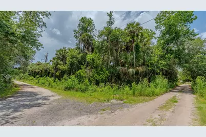 Swamp Lane, Geneva, FL 32732 - Photo 17