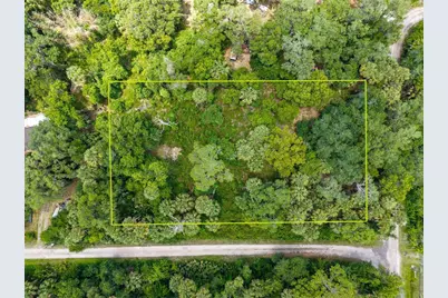 Swamp Lane, Geneva, FL 32732 - Photo 1