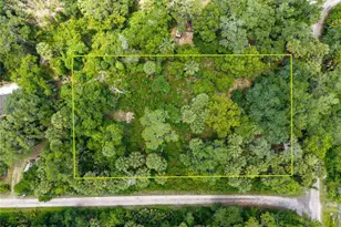 Swamp Ln, Geneva, FL 32732 - Photo 1