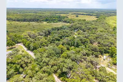 Swamp Lane, Geneva, FL 32732 - Photo 5
