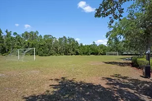 3902 162nd Ave E, Parrish, FL 34219 - Photo 37