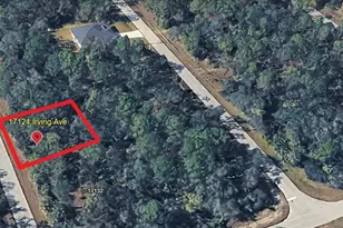 17124 Irving Ave, Port Charlotte, FL 33948 - Photo 1