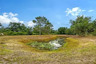 7945 Verna Bethany Rd, Myakka City, FL 34251 - Photo 67