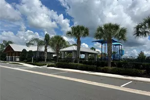 5910 164TH AVE E, Parrish, FL 34219 - Photo 21