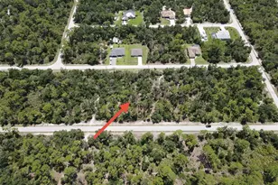 17083 Carson Ave, Port Charlotte, FL 33948 - Photo 3