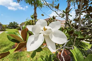 4249 Lenox Blvd, Venice, FL 34293 - Photo 51