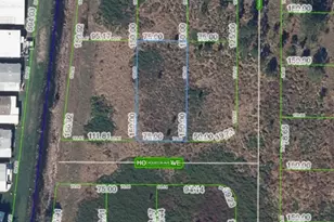 502 Houston Ave, Lake Placid, FL 33852 - Photo 1