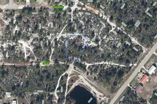 1018 Flax St, Lake Placid, FL 33852 - Photo 1