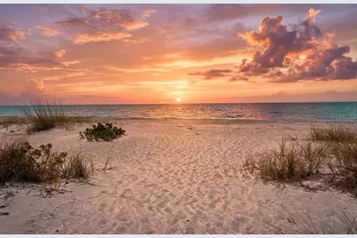 793 Jungle Queen Way, Longboat Key, FL 34228 - Photo 3