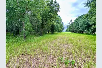 4946 Wauchula Rd, Myakka City, FL 34251 - Photo 5