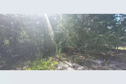 Union Way, Lee, FL 32059 - Photo 9