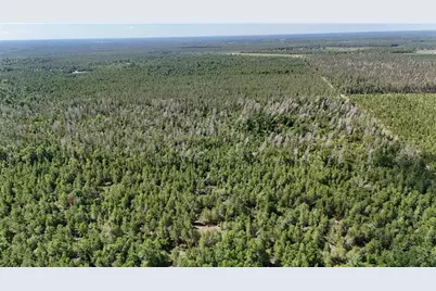 Union Way, Lee, FL 32059 - Photo 13