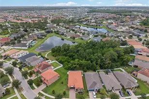 11833 Frost Aster Dr, Riverview, FL 33579 - Photo 47