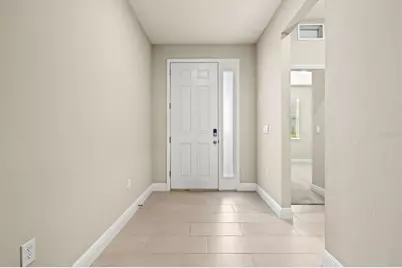 157 Bright Ibis Avenue, Apollo Beach, FL 33572 - Photo 3