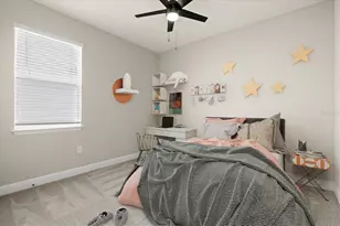 157 Bright Ibis Ave, Apollo Beach, FL 33572 - Photo 19
