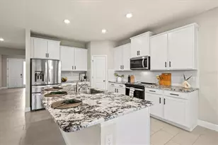 157 Bright Ibis Ave, Apollo Beach, FL 33572 - Photo 5