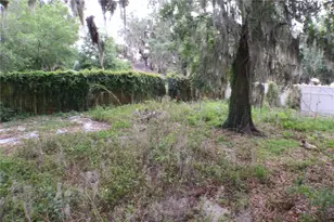 1202 N Ferrell St, Plant City, FL 33563 - Photo 13