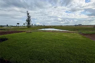 8725 Canard Cv, Palmetto, FL 34221 - Photo 19